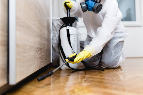 Best Local Pest Control Services  in Central Square, NY