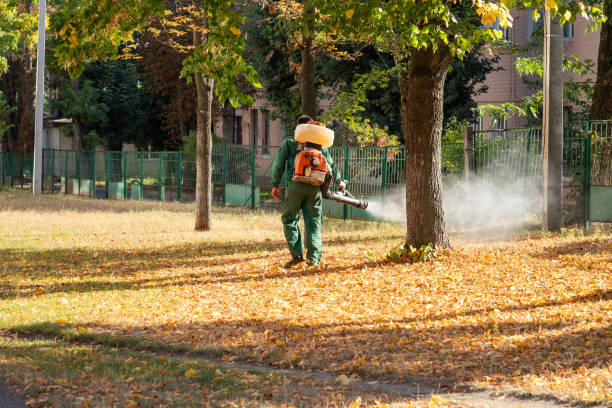 Best Pest Control Cost  in Central Square, NY