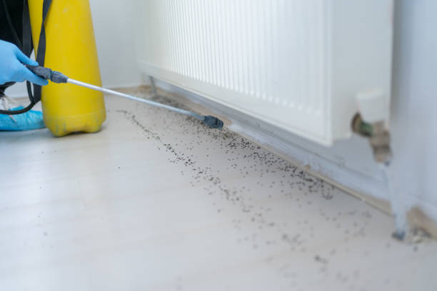Best Pest Control Treatment  in Central Square, NY